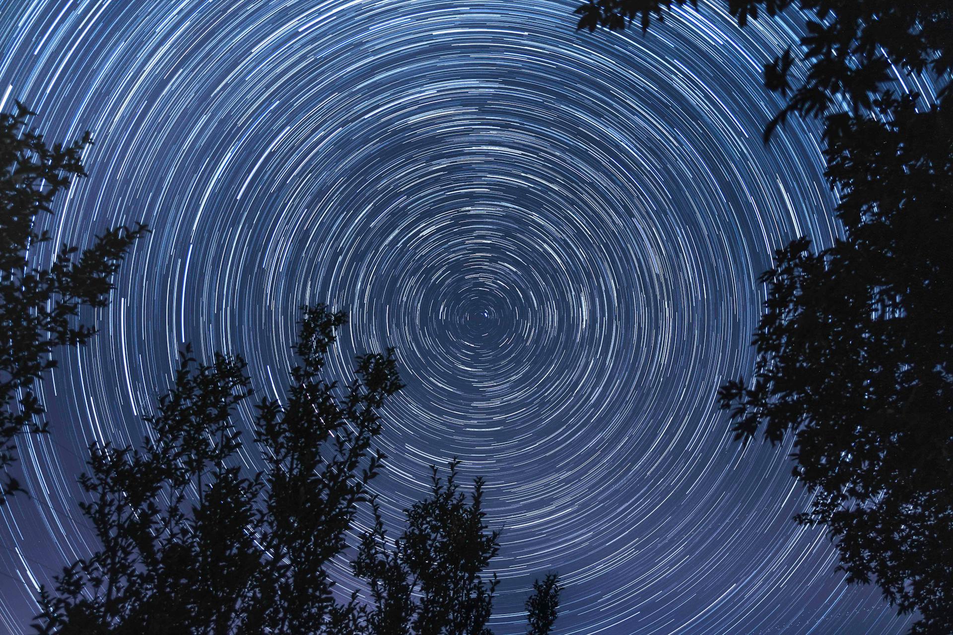 Long exposure star trails over forest representing the 11th house's reach toward the future