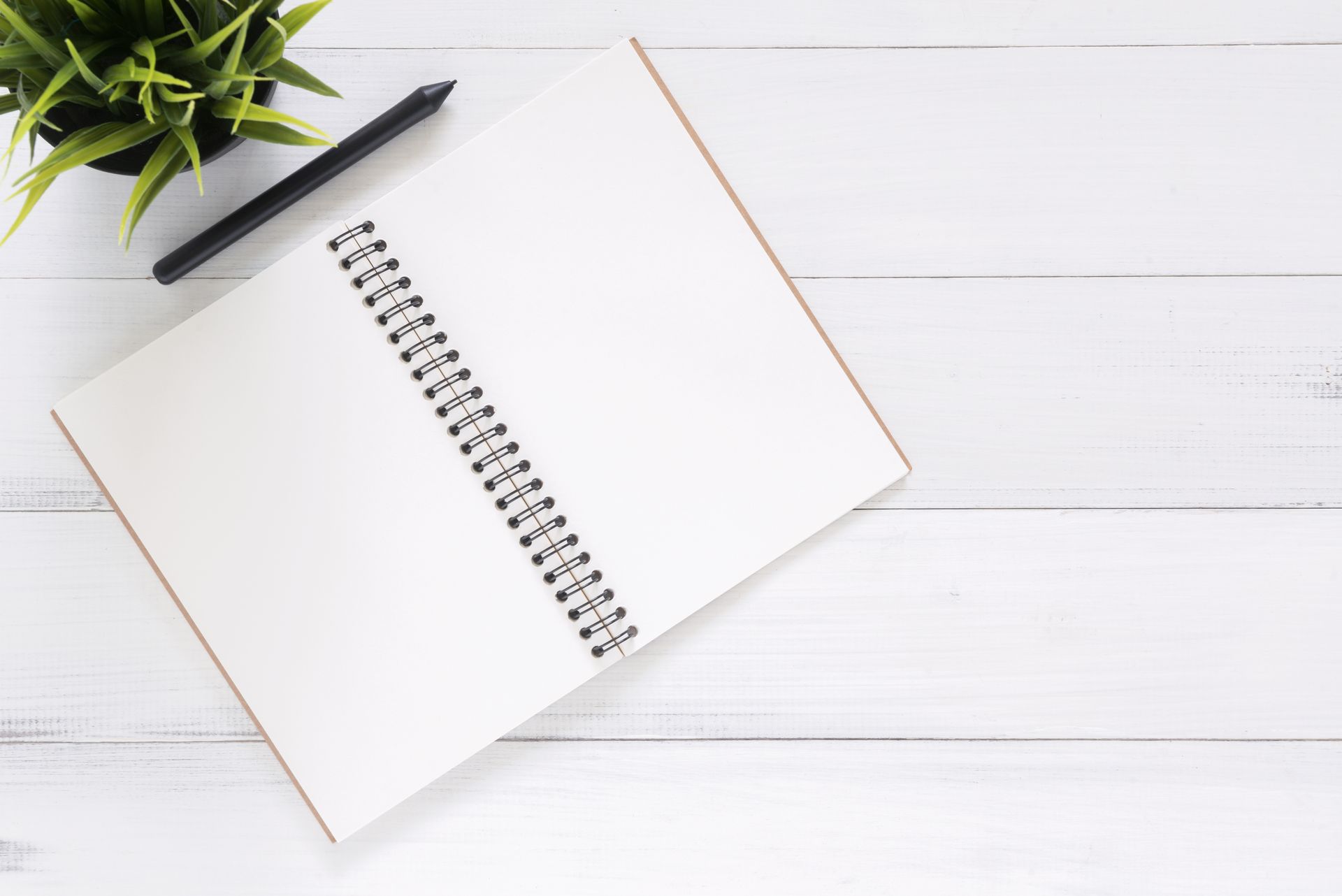 An open notebook and pen on a desk surrounded by plants, ready for a scripting and manifestation session
