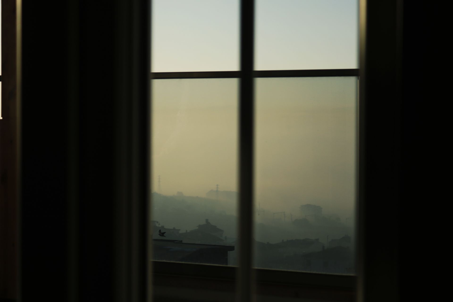A view through a paned window at dawn, hazy rooftops and a single bird under a soft sky, the kind of quiet morning moment suited to a short focused manifestation practice