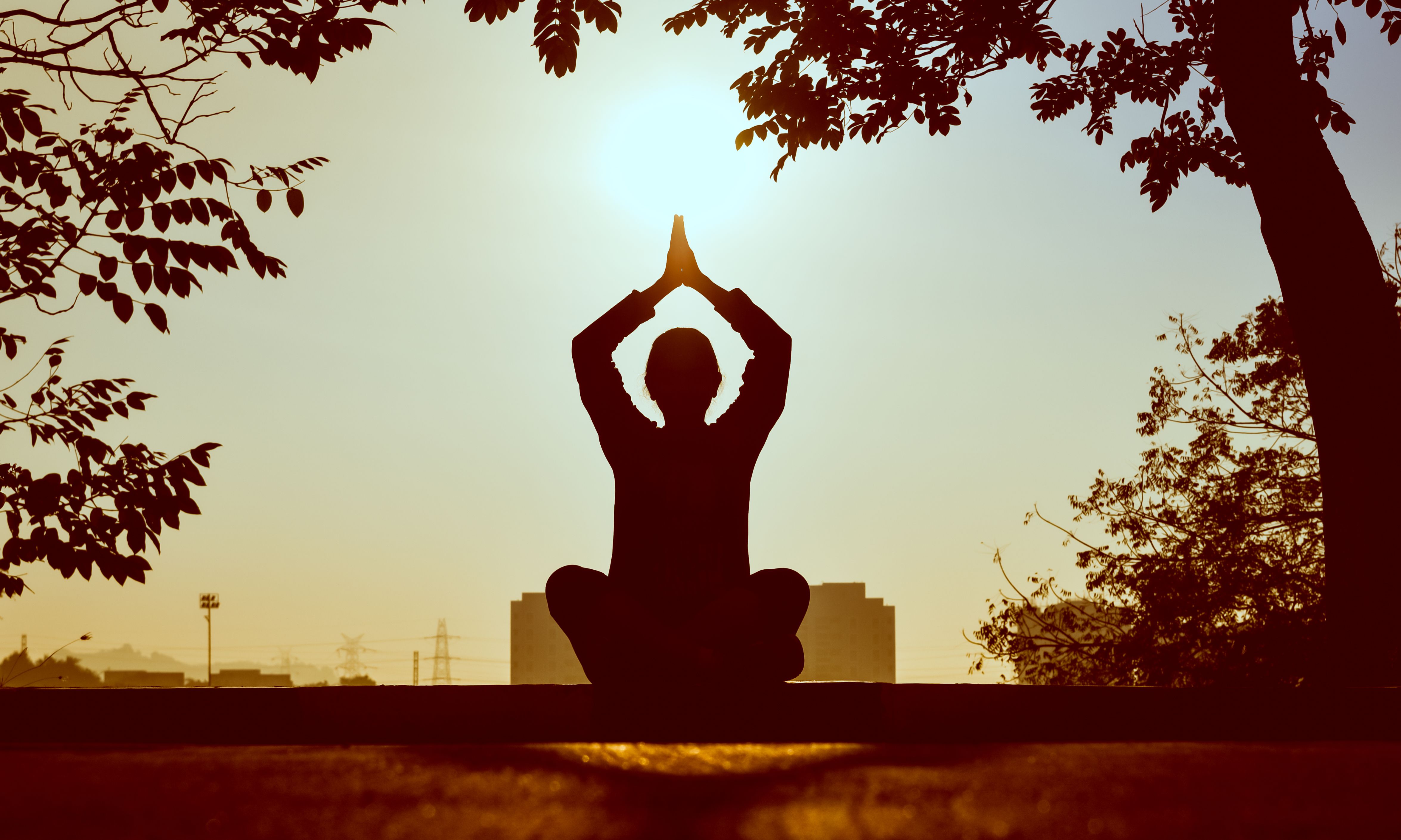 A person sitting quietly at sunrise in a calm, open setting, representing the spiritual alignment angel number 1010 encourages
