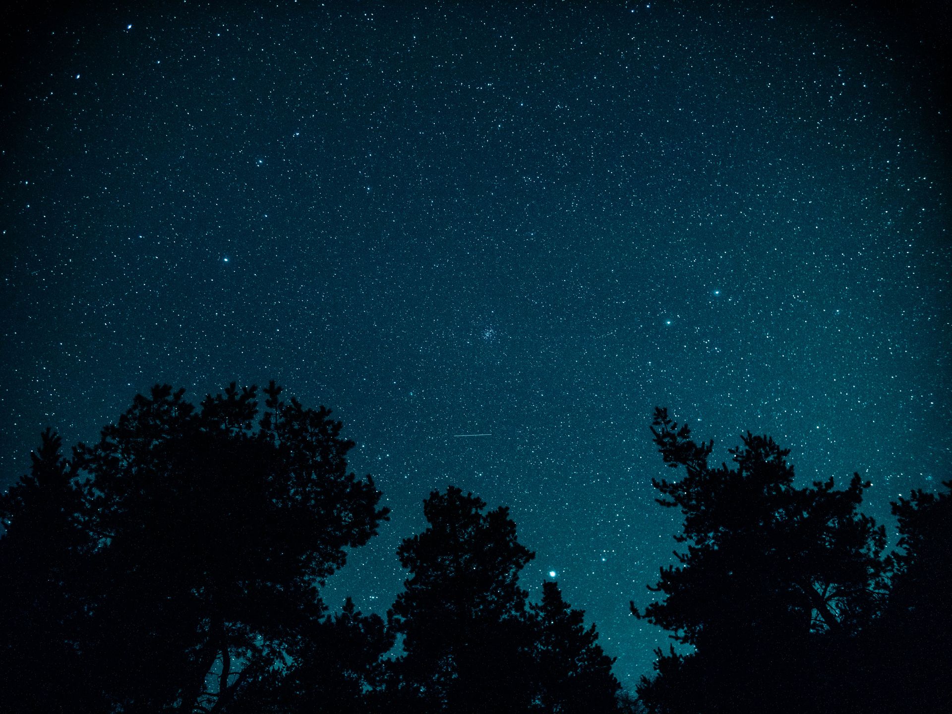 A starry night sky over silhouetted trees, symbolizing the spiritual grounding and surrender that angel number 666 encourages
