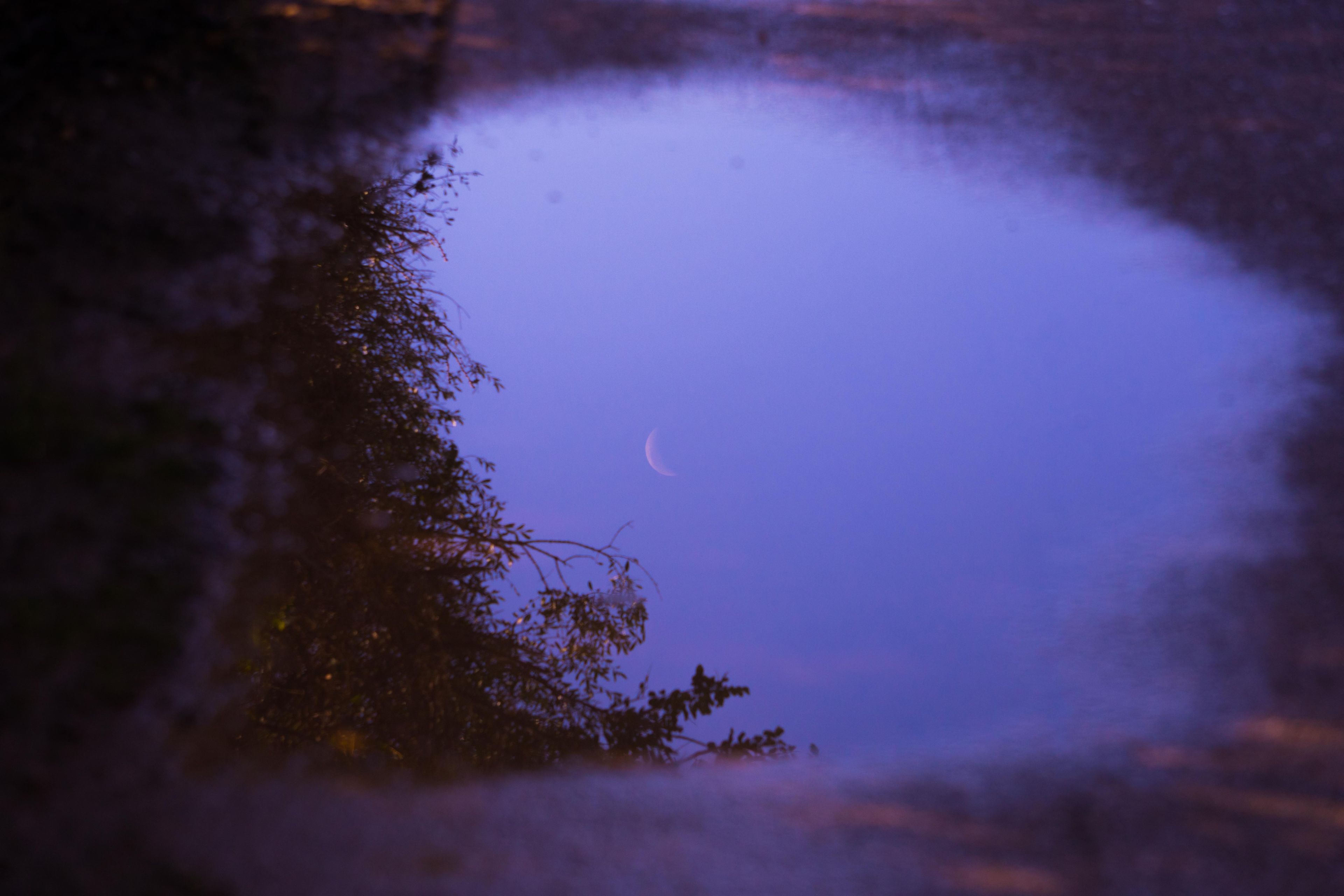 Moonlight reflecting on still dark water, representing the deep intuitive currents that dreams draw from