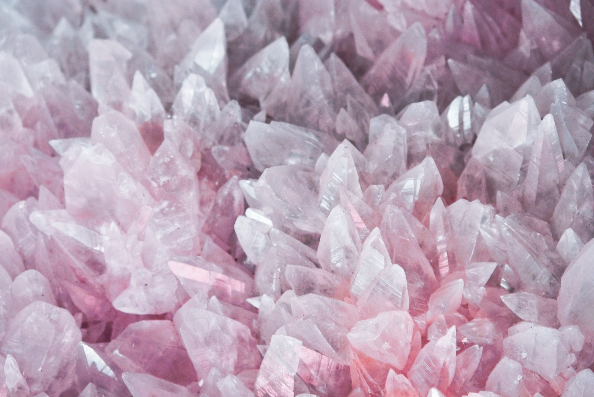 A cluster of pale pink rose quartz crystals, the classic stone used to open and heal the heart chakra