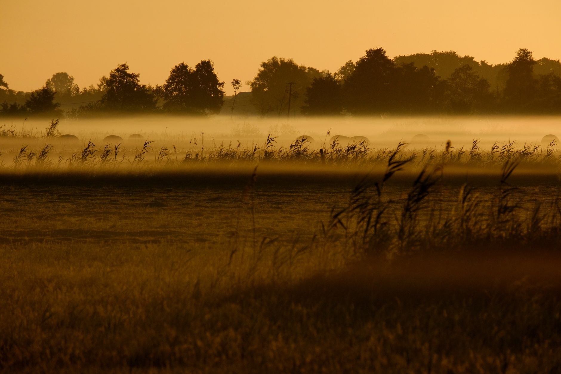 Golden sunrise spilling over a calm open field