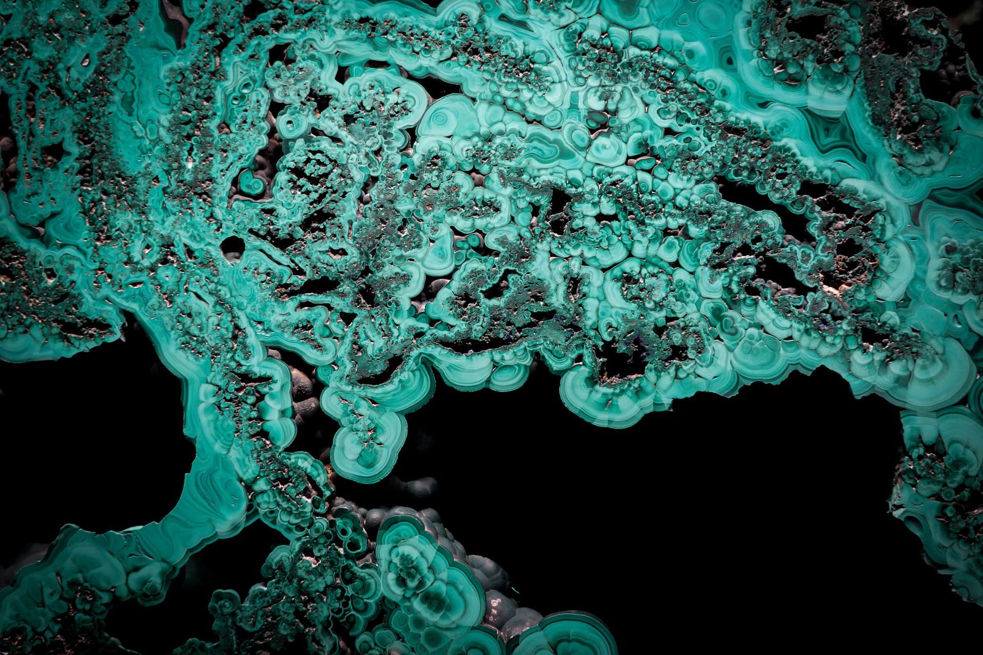 Close-up of vivid green malachite showing its natural concentric banding, representing what malachite is made of