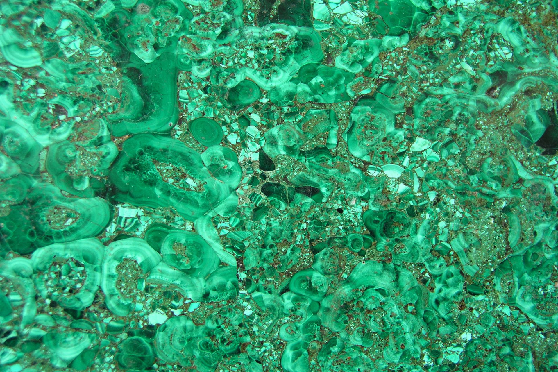 Rich green malachite stone banded with light and dark rings, representing malachite meaning and healing properties