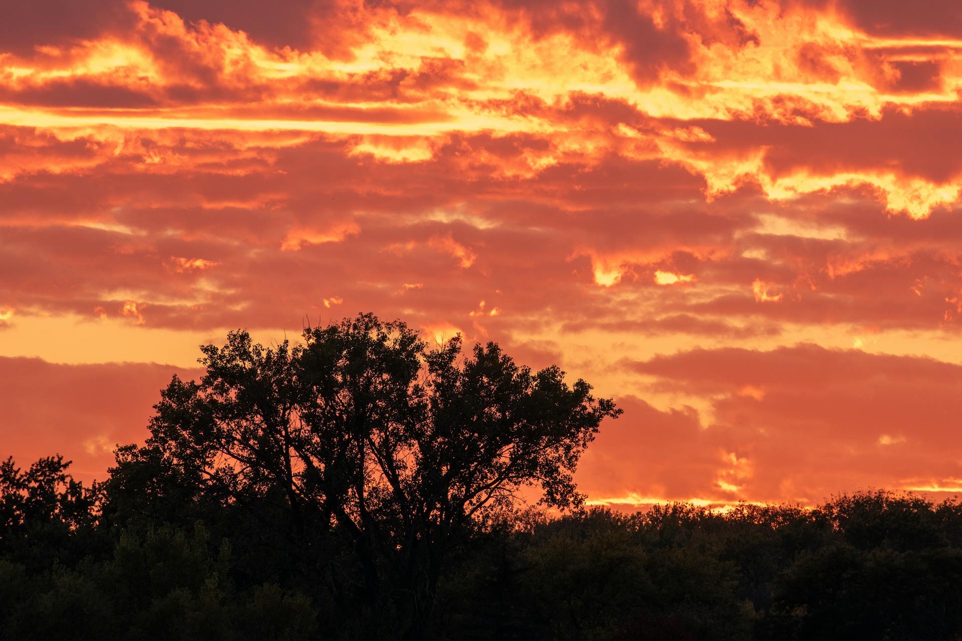 Silhouetted landscape under an intense fiery sky symbolizing the raw power and drive of Mars in astrology