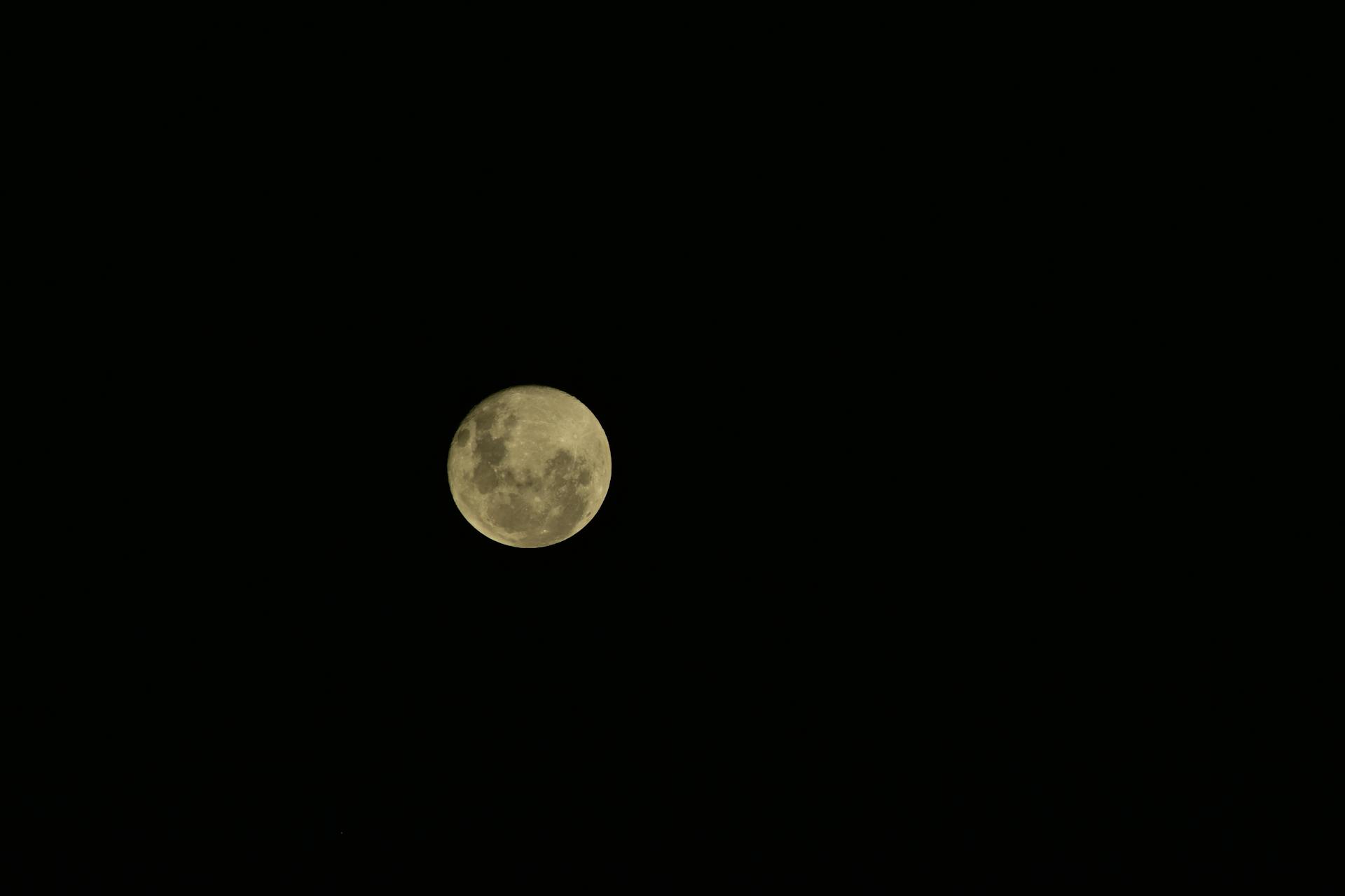A glowing full moon rising over a dark horizon representing the peak illumination point of the natal lunar phase cycle