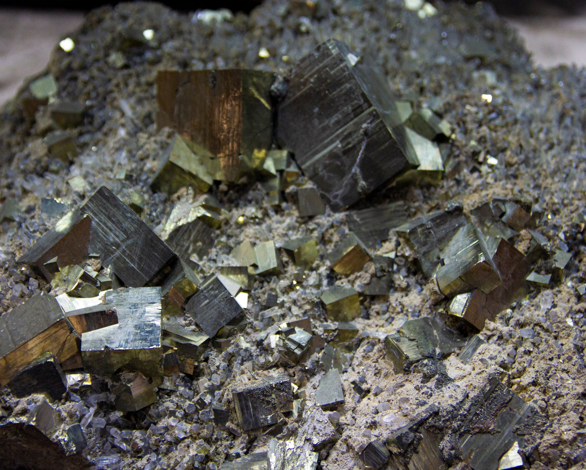 Cubic brass-gold pyrite crystals clustered on rock, the classic fool's gold cube shape