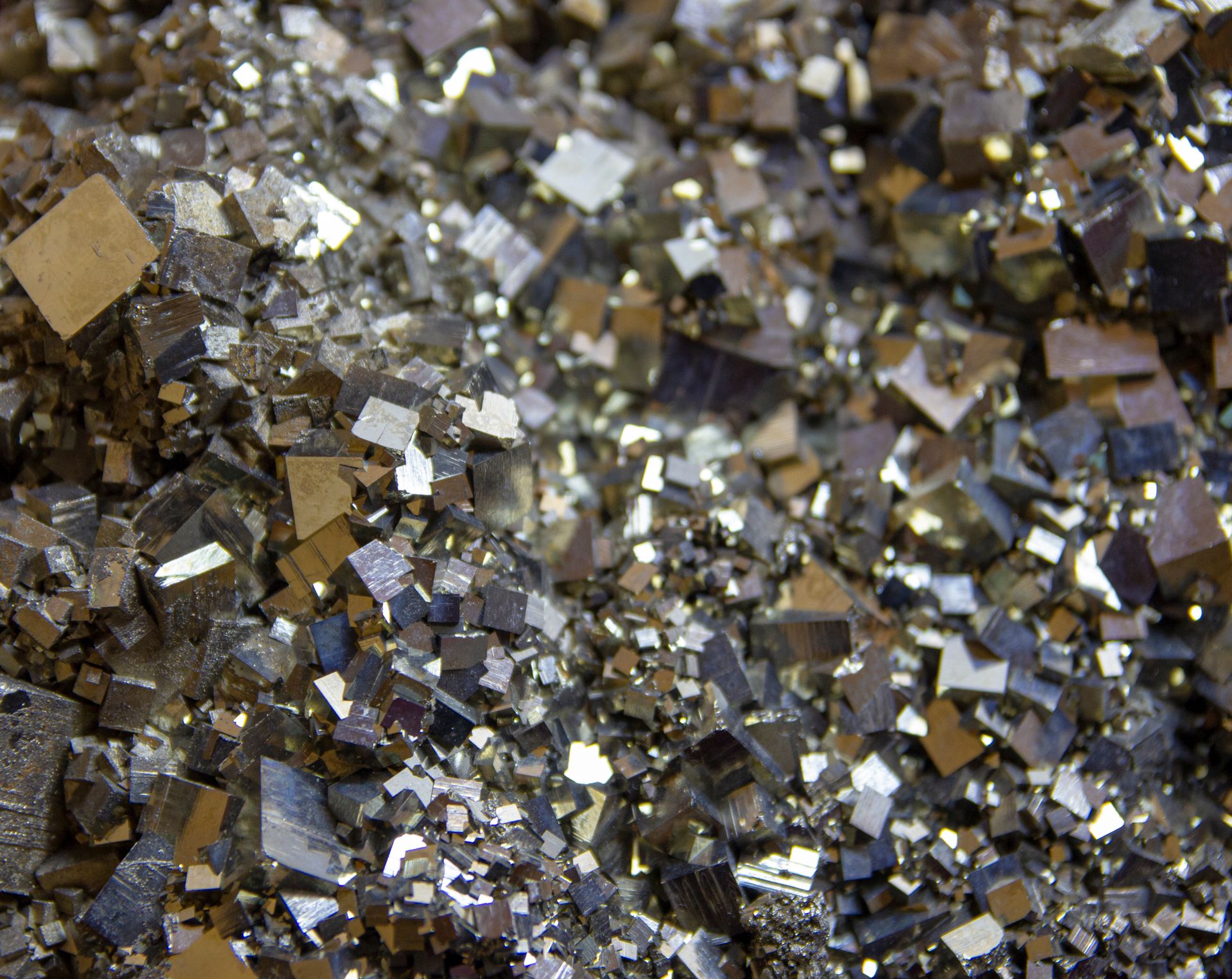 A cluster of pyrite crystals showing intricate metallic gold luster