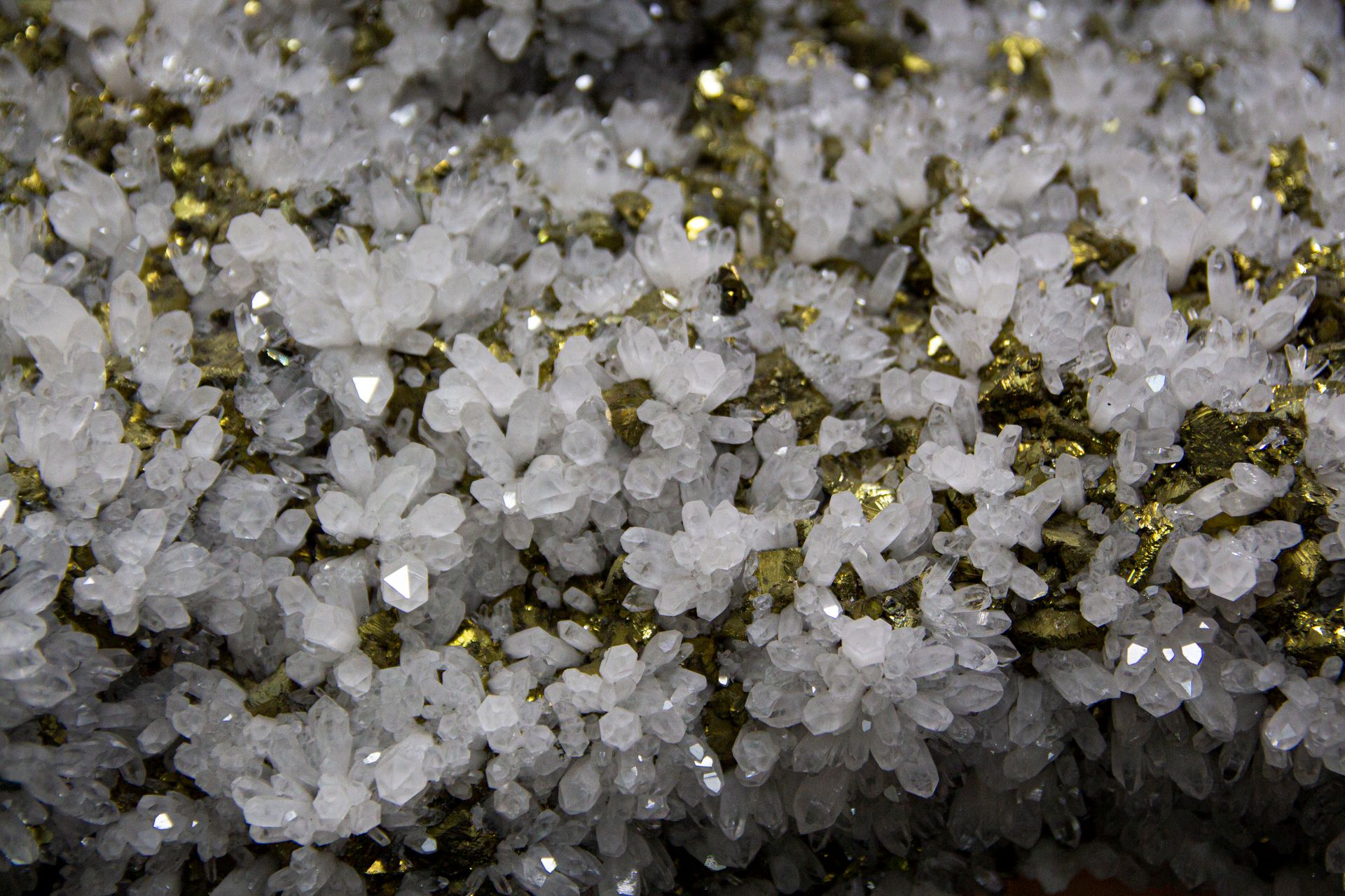 White crystals studded with golden pyrite, a natural pairing of quartz and fool's gold