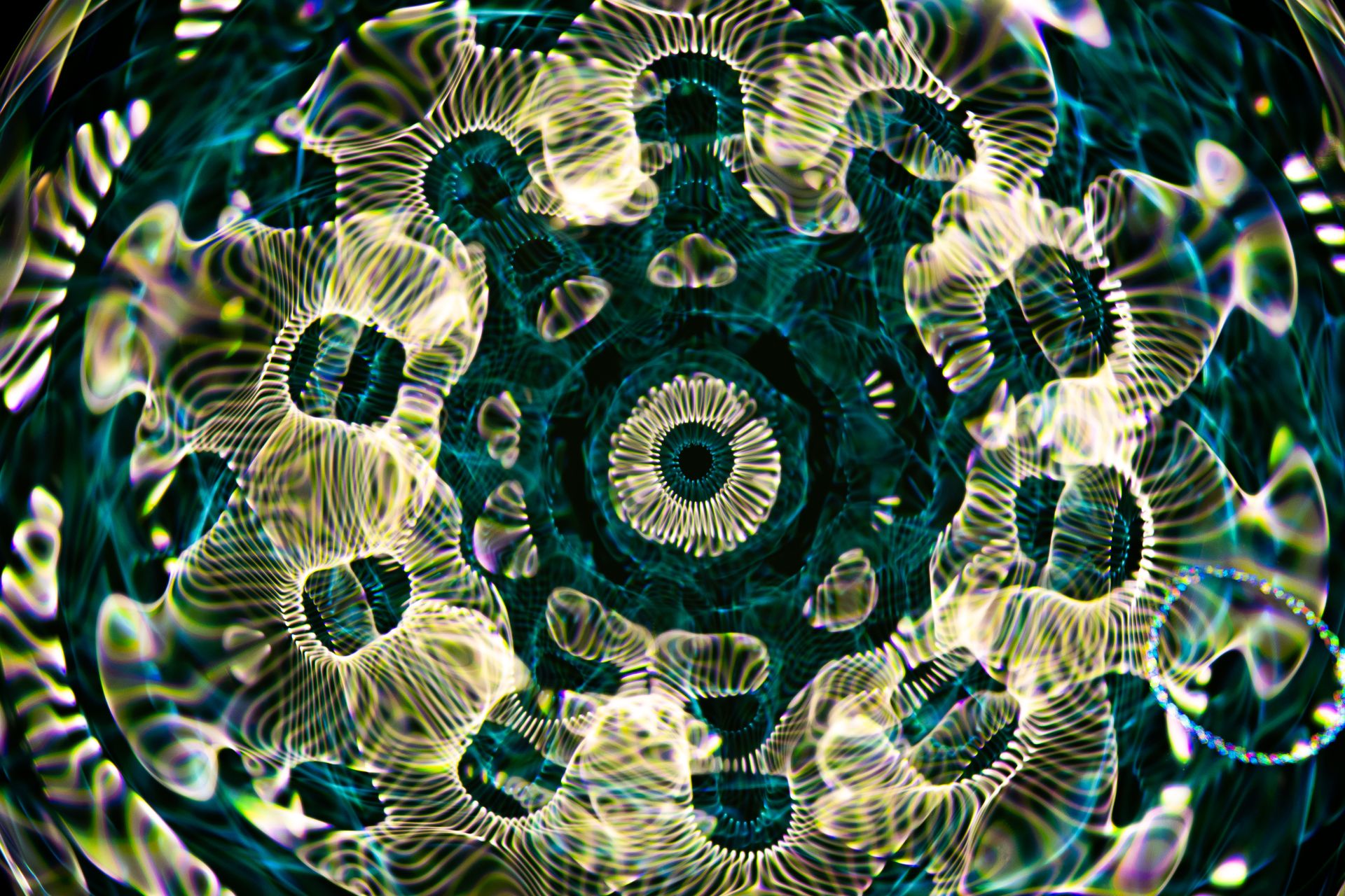 A radial kaleidoscopic pattern of repeating shapes, echoing the fractal symmetry found throughout the natural world