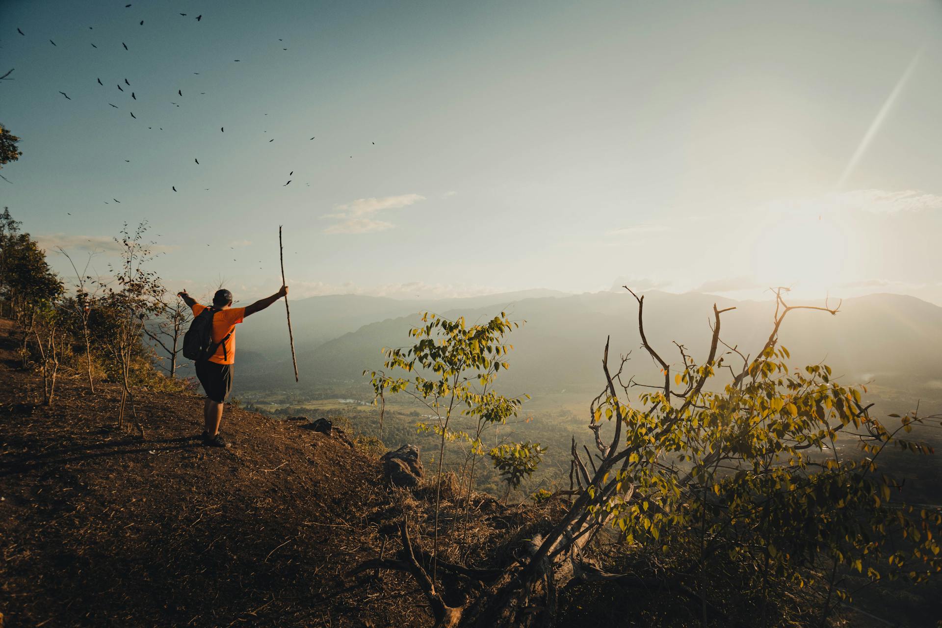 A traveler looking out over a mountain landscape, reflecting the Sagittarius hunger for adventure and new horizons