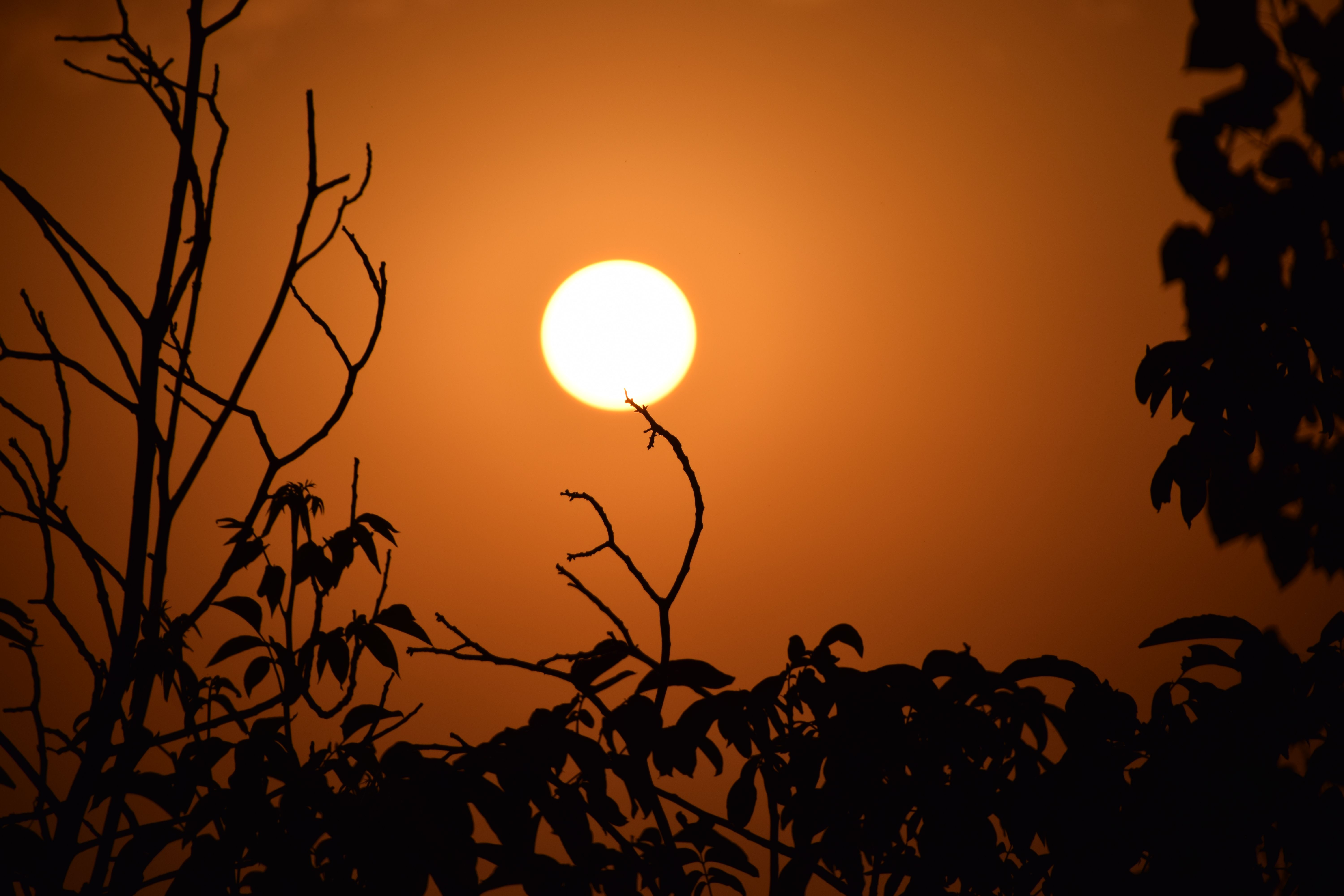 A brilliant sun blazing in a clear sky, symbolizing the fire element and solar energy of the Manipura solar plexus chakra