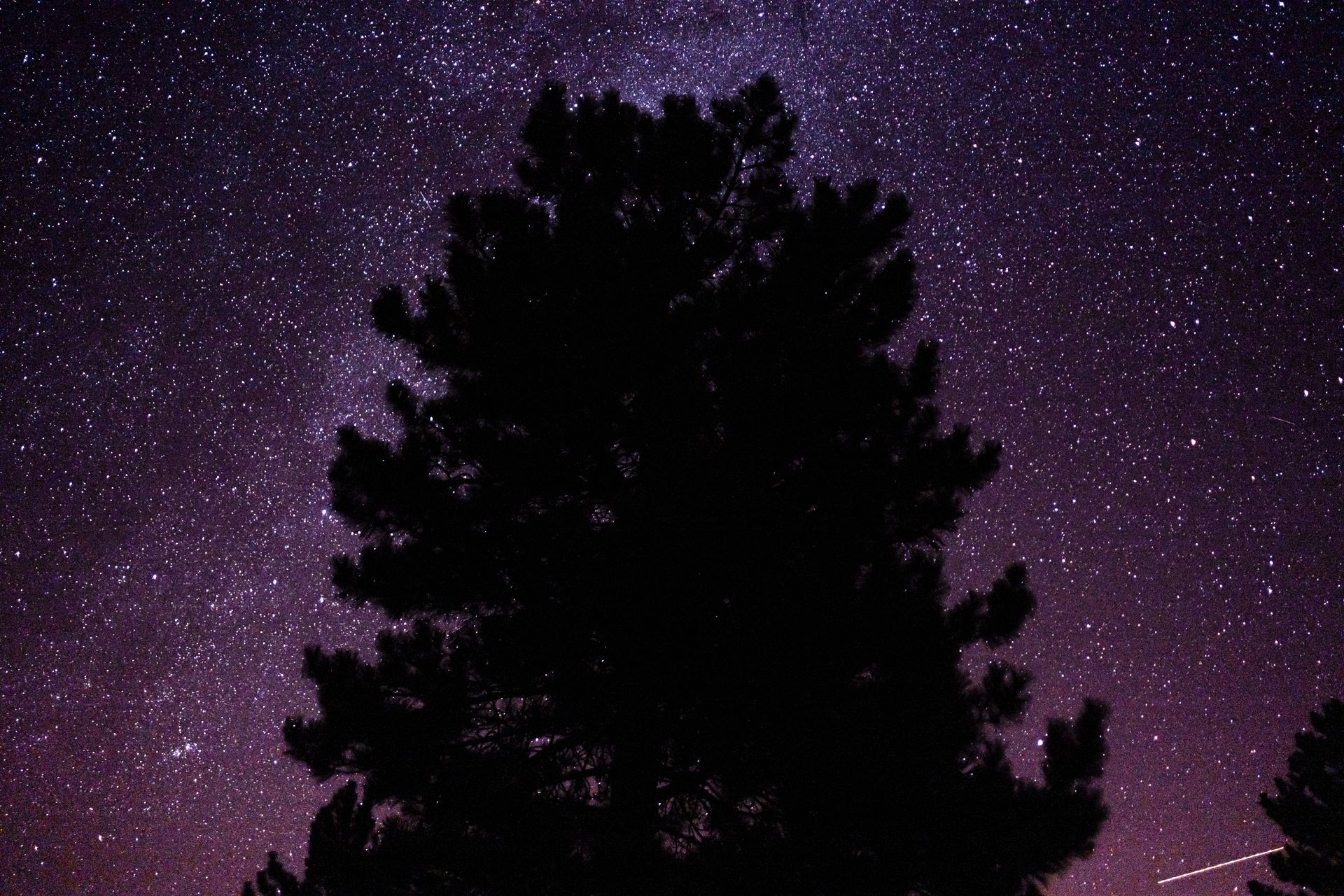 A lone figure silhouetted beneath a sky full of stars, symbolizing the starseed feeling of not belonging