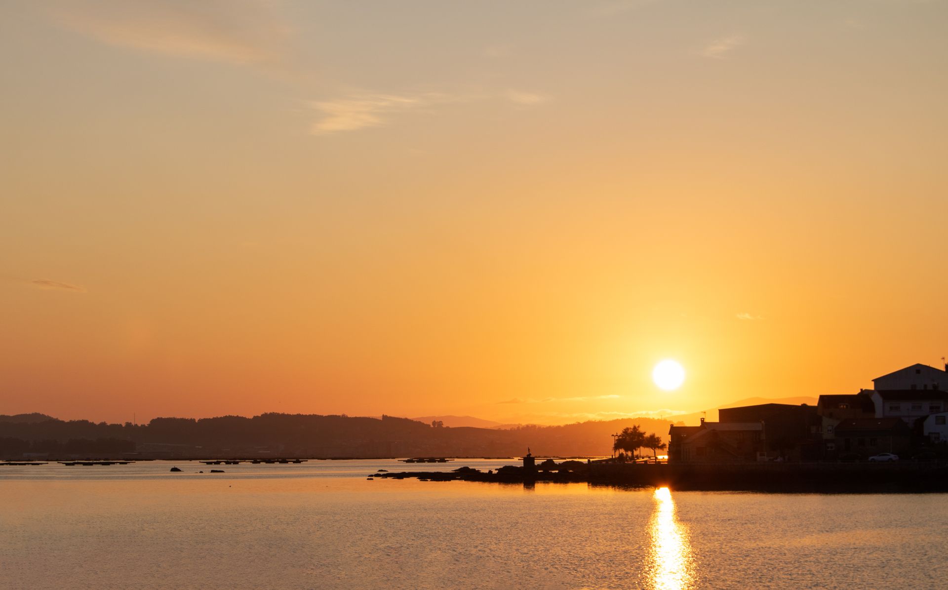 Golden sunrise spilling over a calm horizon, symbolizing the conscious identity of the sun sign