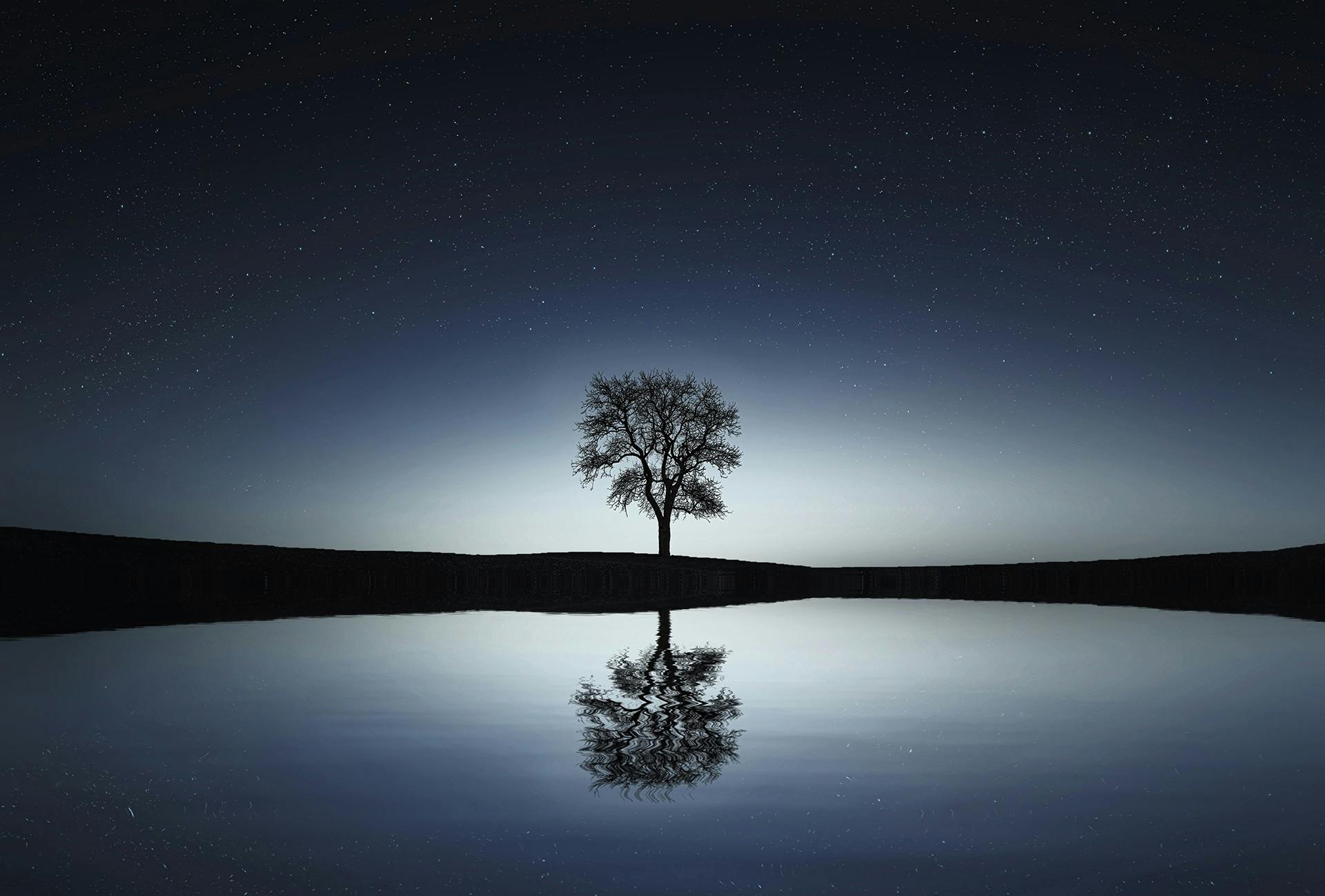 A solitary tree reflects in a tranquil lake under a starry night sky capturing the stillness of a void of course period