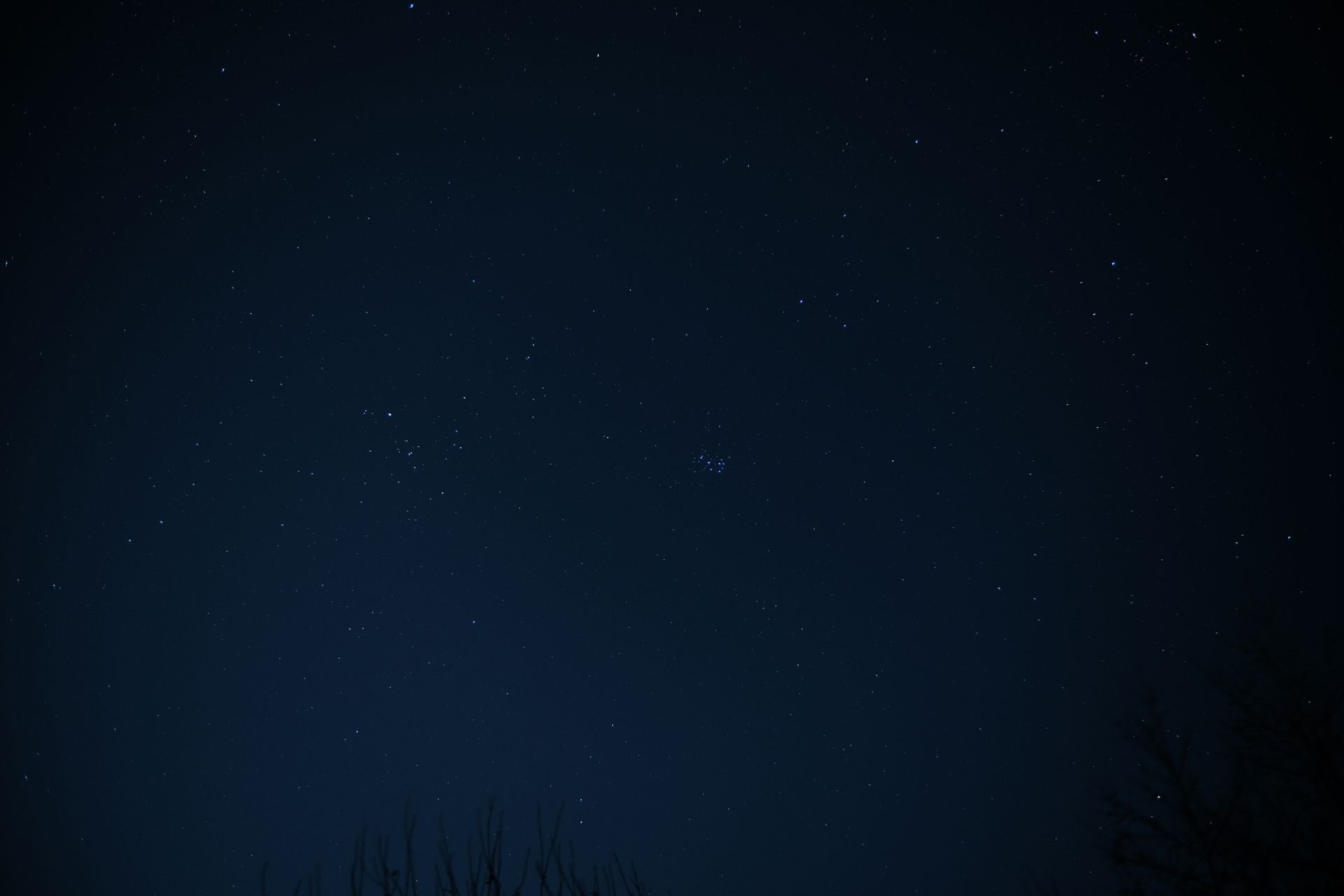 A field of bright constellations and stars filling a dark night sky